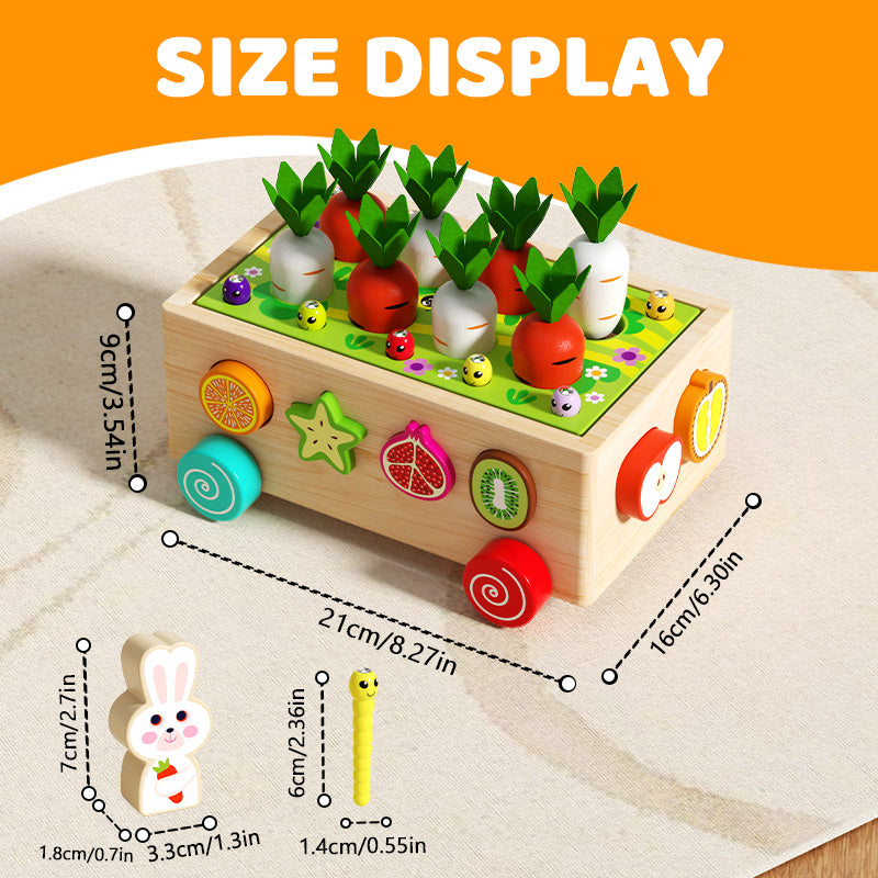 Multifunctional fruit sorting and shape matching farm playset